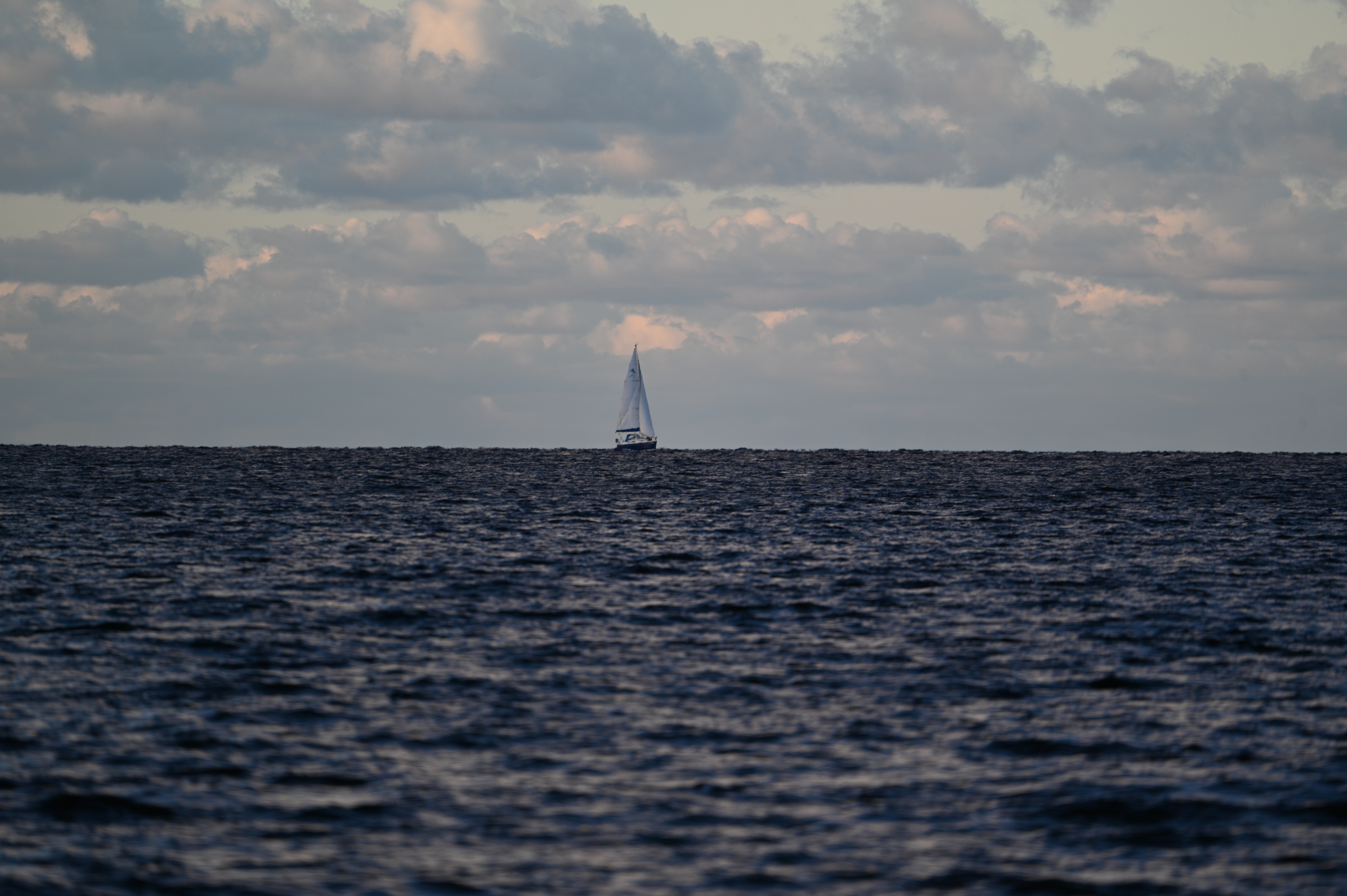 2025/10/18 - walk/DSC_0237.JPG